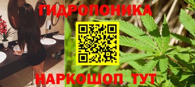 apvp Моздок