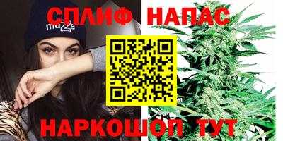 apvp Моздок