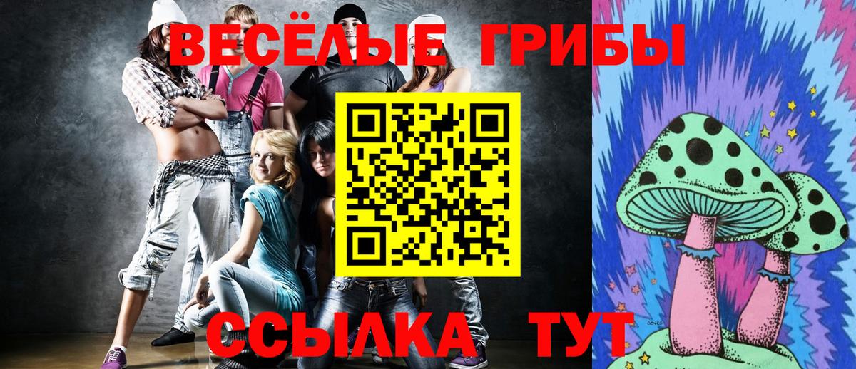 Псилоцибиновые грибы Psilocybine cubensis  Вход с VPN  Чайковский 