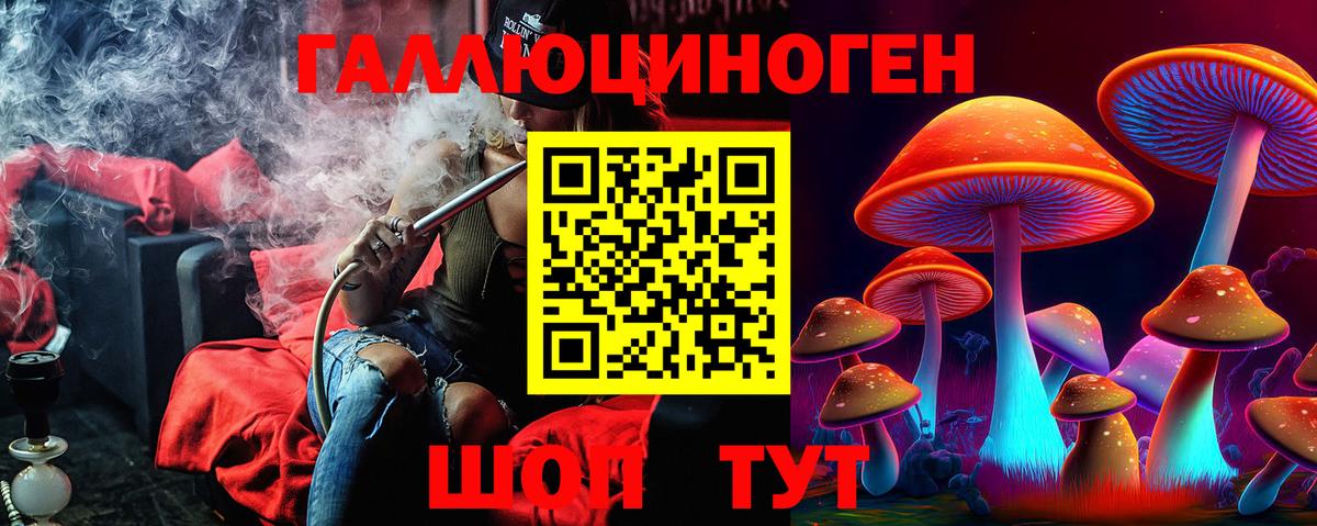 Галлюциногенные грибы Psilocybine cubensis Чайковский