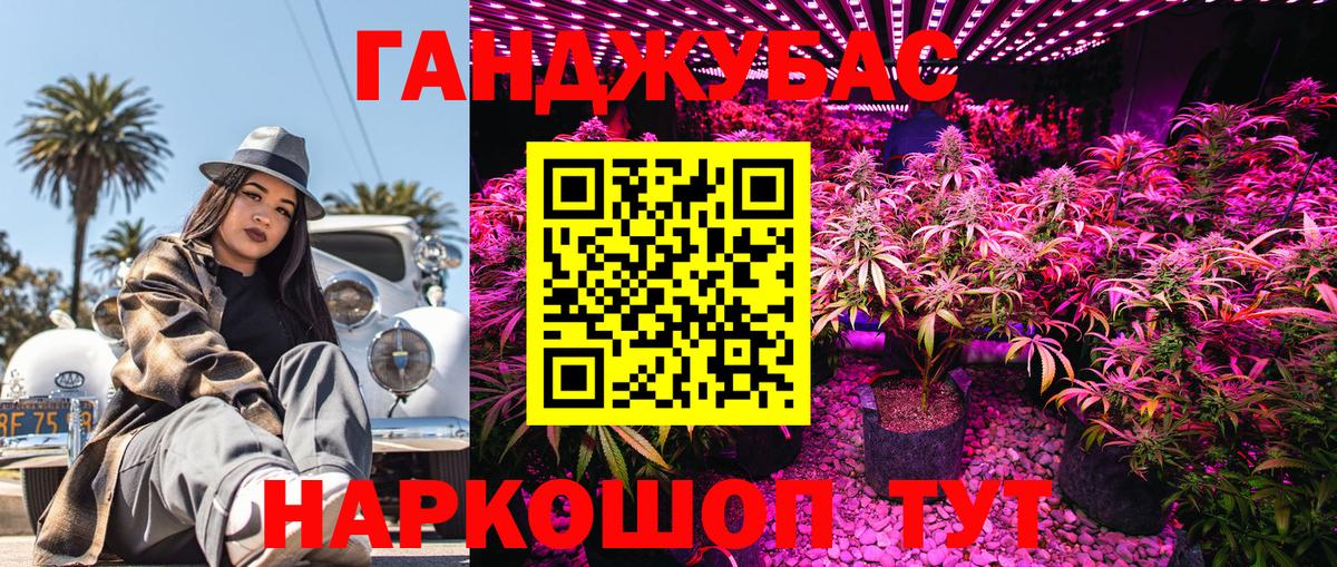 Бошки Шишки план Чайковский